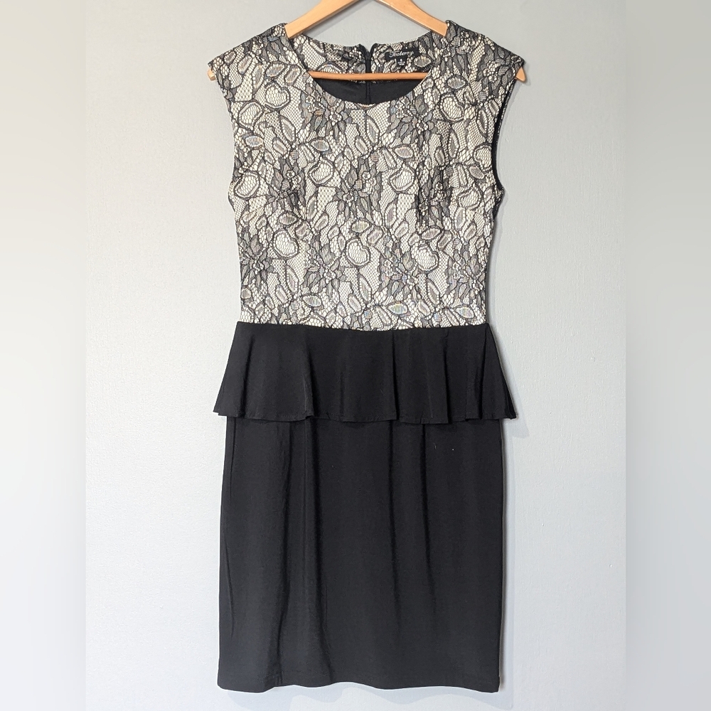 Teaberry Sleeveless Black Lace Peplum Sheath Dress Softgirl Office Chic